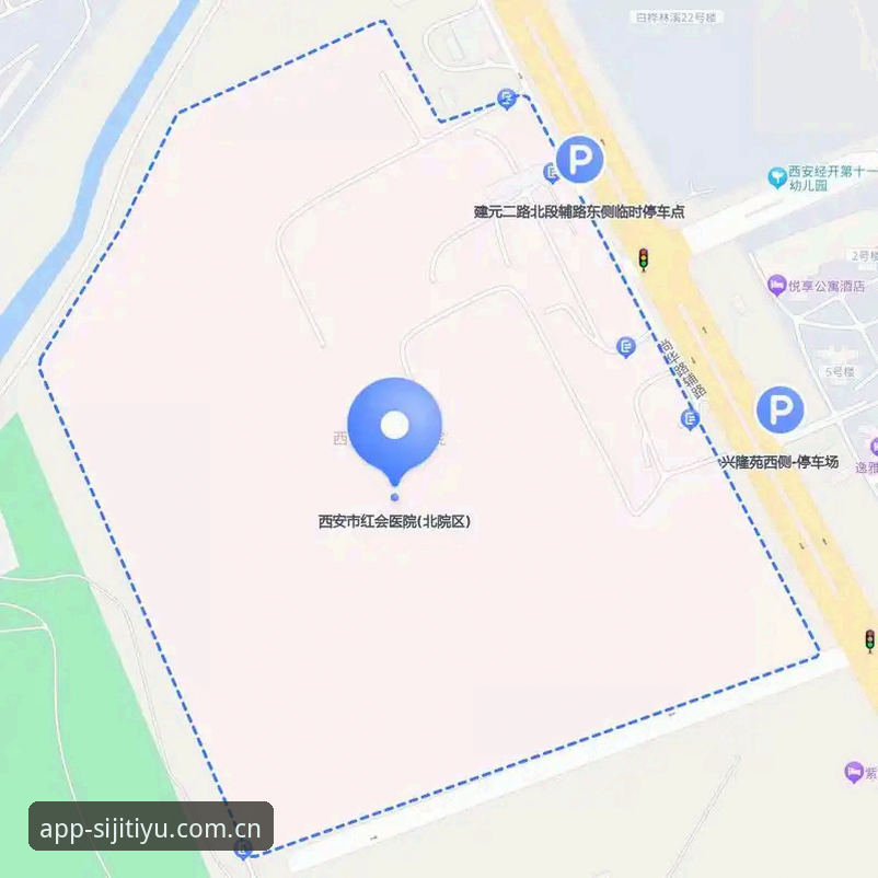 四季体育APP官方版本详解：从下载到深度体验的全流程指南